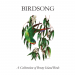 Birdsong book cover