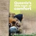 Queenie’s Little Book of Comfort book cover