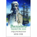 Banished beyond the seas book cover