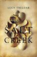 Salt Creek book cover
