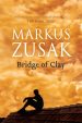 Bridge of Clay Paperback book cover