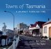 Towns of Tasmania book cover