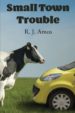 Small Town Trouble book cover
