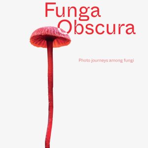 funga obscura alison pouliot