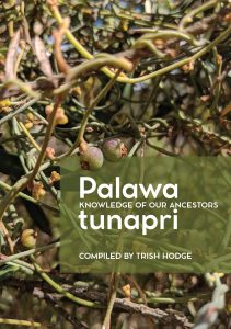 palawa tunapri