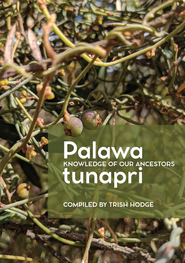 palawa tunapri